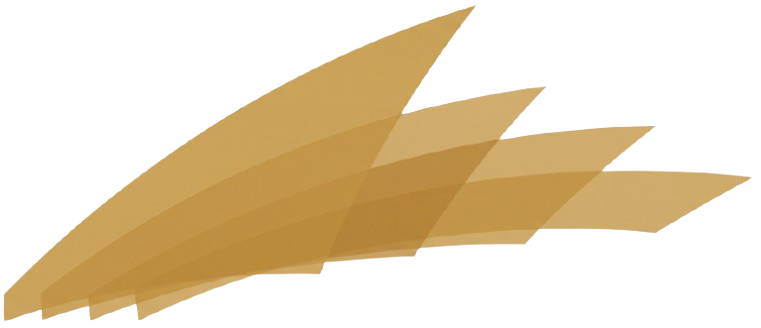 RAK ICC Logo